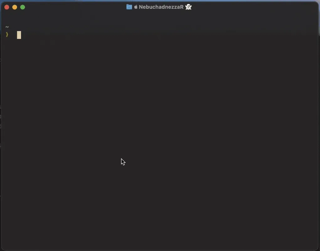 Atuin Demo